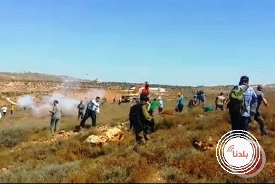 توضيحية 