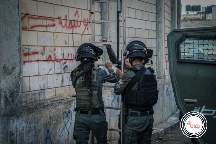 توضيحية 