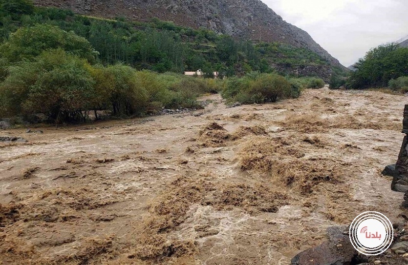 توضيحية 