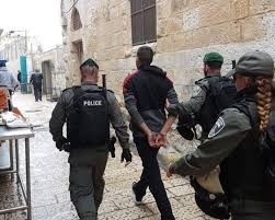توضيحية 