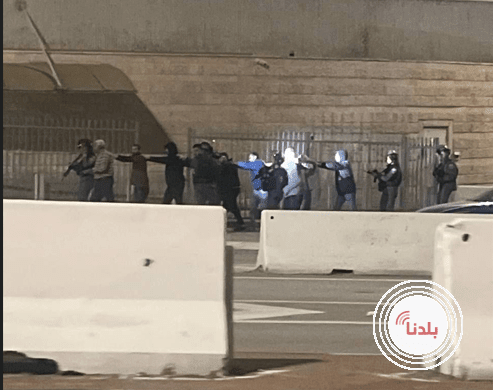 توضيحية 