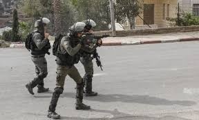 توضيحية 