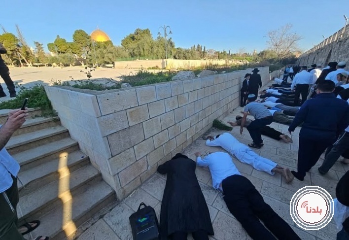 توضيحية 