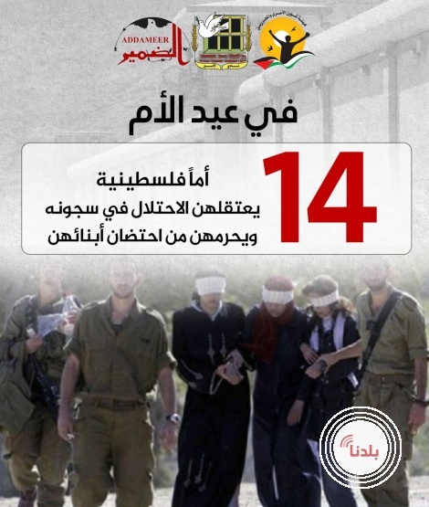 توضيحية