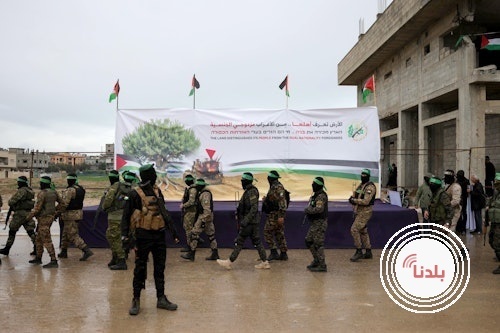 توضيحية 