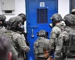 توضيحية