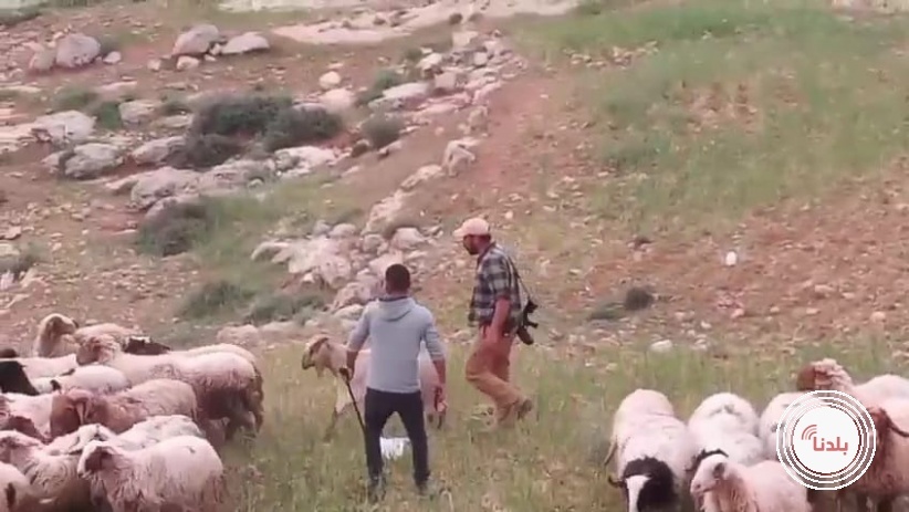 توضيحية 
