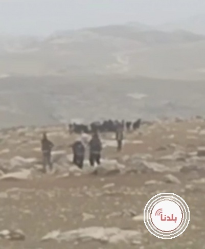توضيحية 