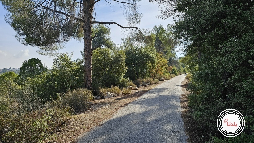 حالة الطقس: أجواء ربيعية معتدلة