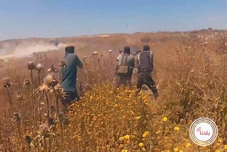 توضيحية 