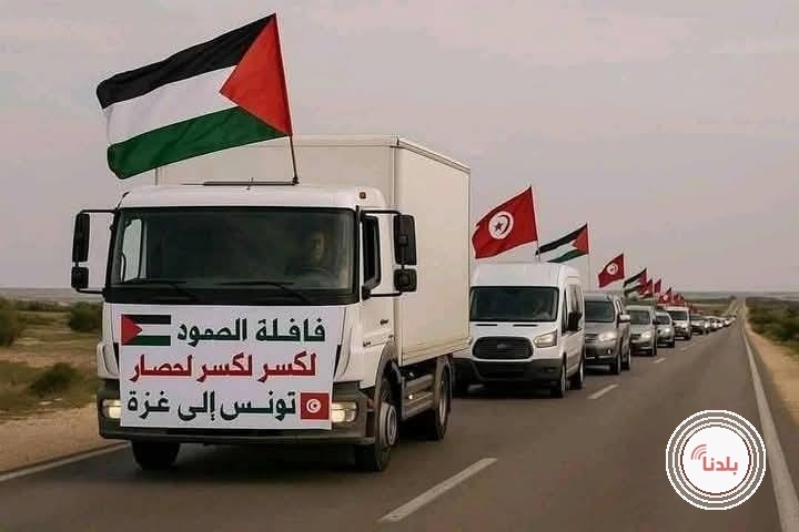 توضيحية 