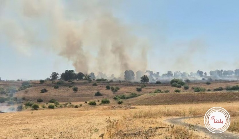 توضيحية 