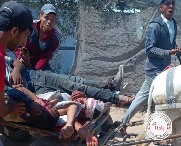 توضيحية 
