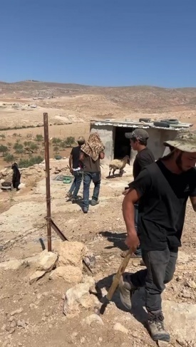 توضيحية 