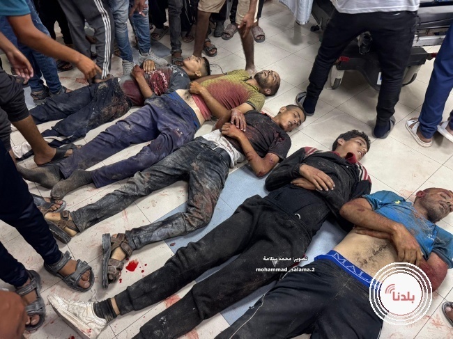 توضيحية 