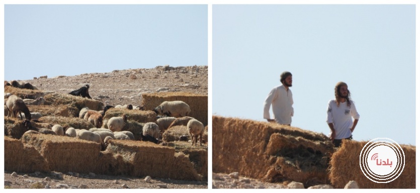 توضيحية 