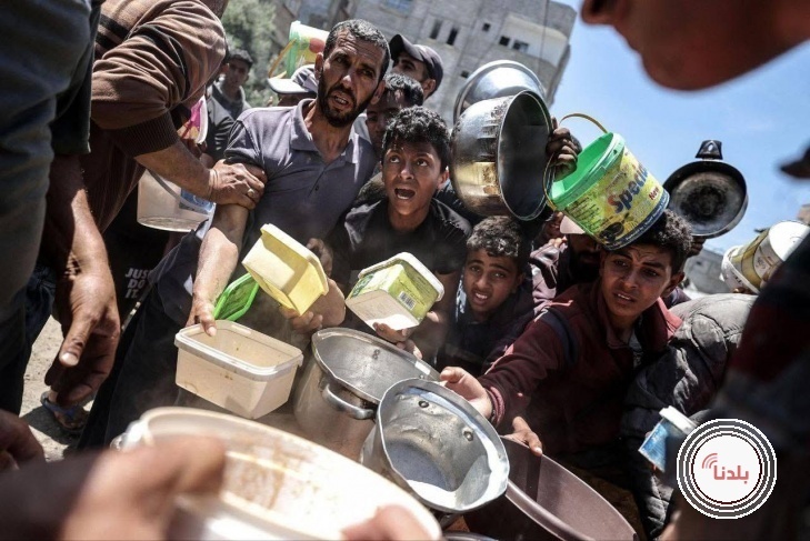 توضيحية 