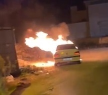 توضيحية 