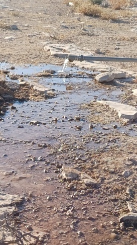 توضيحية 
