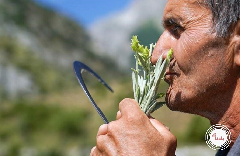 توضيحية 