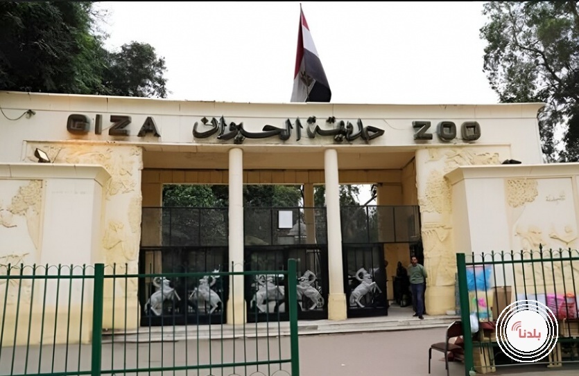 توضيحية