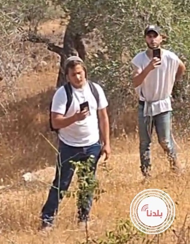 توضيحية 