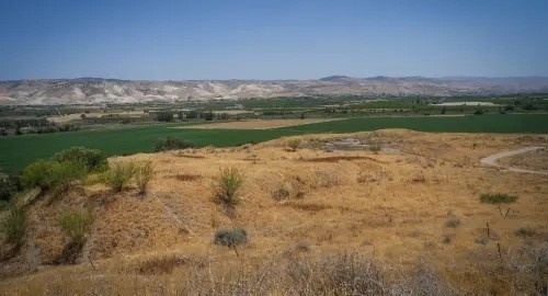 توضيحية