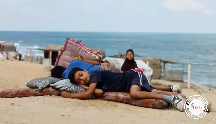 توضيحية 