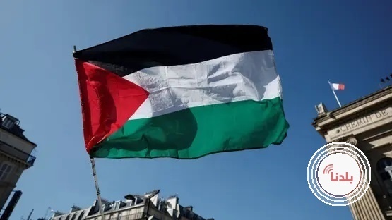 توضيحية 