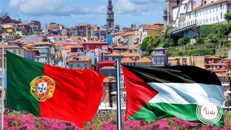 توضيحية 
