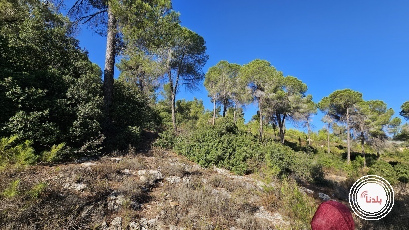 الطقس: ارتفاع على درجات الحرارة