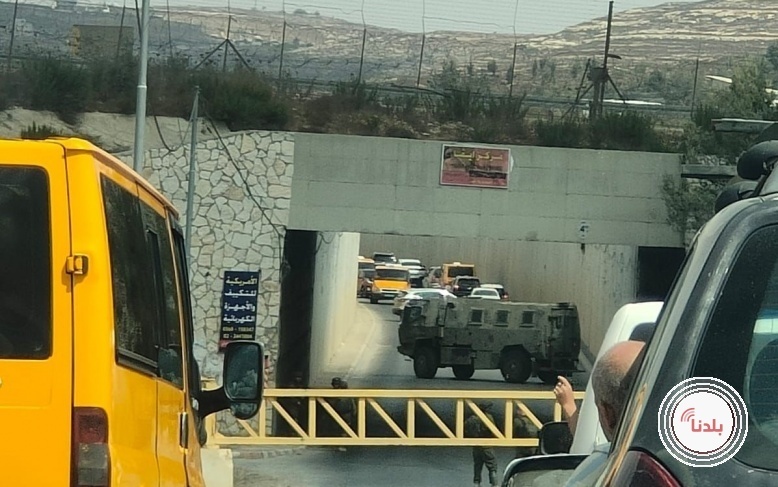 توضيحية 