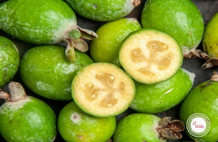 توضيحية 