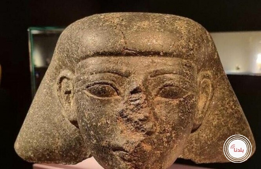 توضيحية 