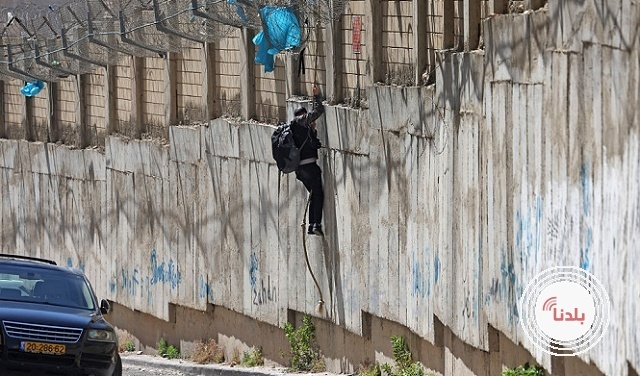 توضيحية 