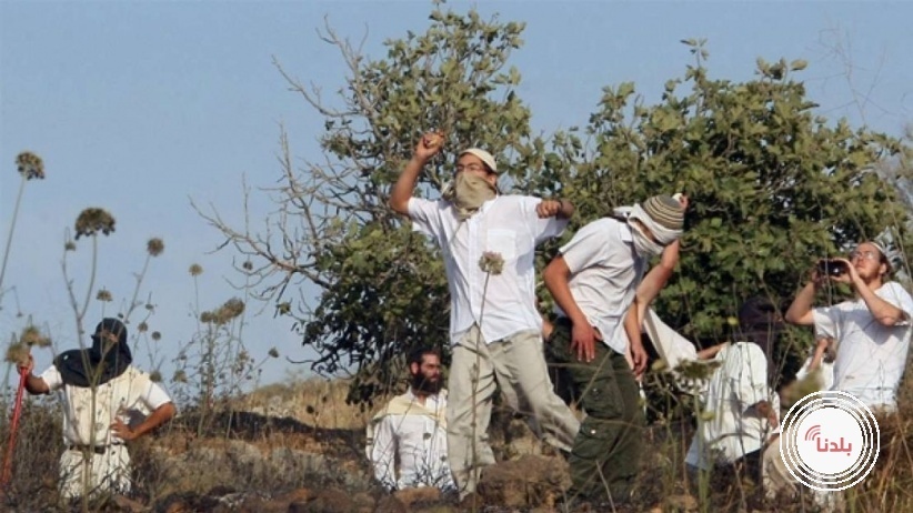توضيحية 
