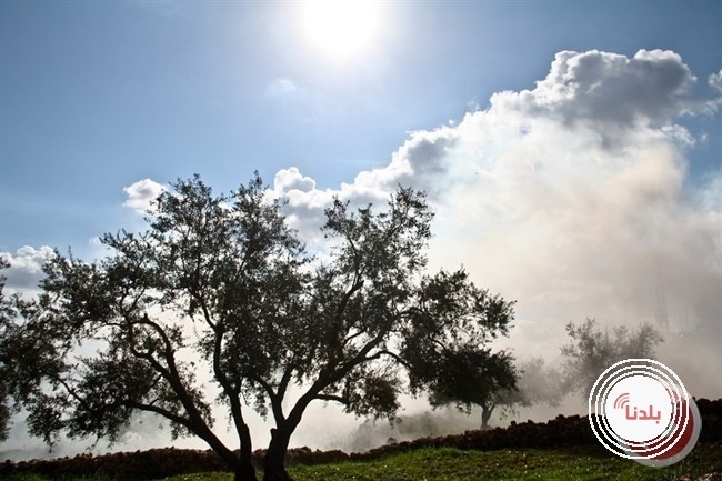 الطقس: فرصة ضعيفة لسقوط أمطار محلية في بعض المناطق الشمالية