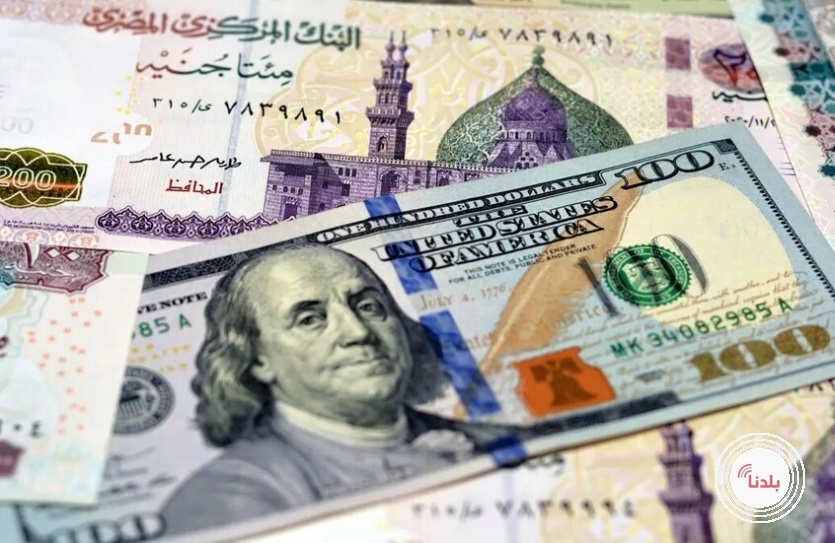 الحكومة المصرية تتحدث عن مكافحة السوق السوداء