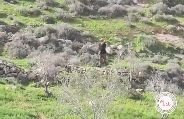 مستوطنون يعتدون على أراضي المواطنين في قرية البرج