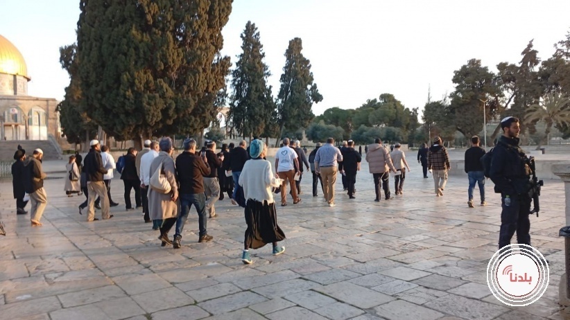  مستوطنون يرقصون ويغنون في باحات الأقصى بأول أيام رمضان