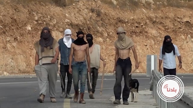 مستوطنون يهاجمون مركبات المواطنين جنوب نابلس