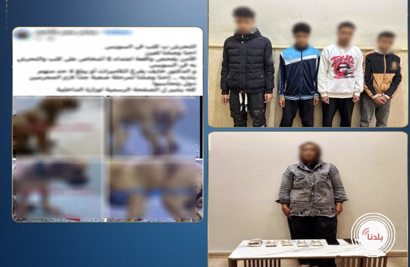 مصر.. الأمن يكشف كواليس فيديو "اغتصاب الكلب"!