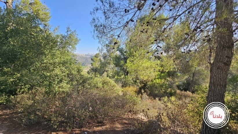 الطقس: ارتفاع على درجات الحرارة