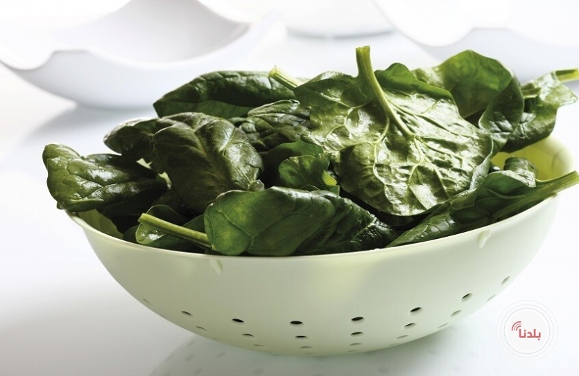كيف يكون السبانخ صحيا وآمنا؟.. نصائح للحد من المخاطر
