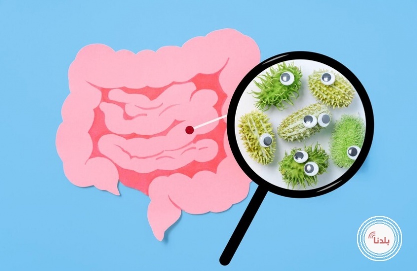 اكتشاف سبب للتراجع السريع في مناعة الأمعاء