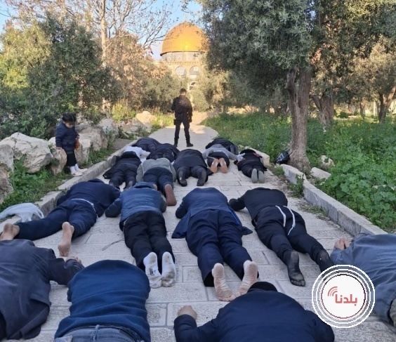 مستوطنون يؤدون "السجود الملحمي" خلال اقتحام باحات الاقصى