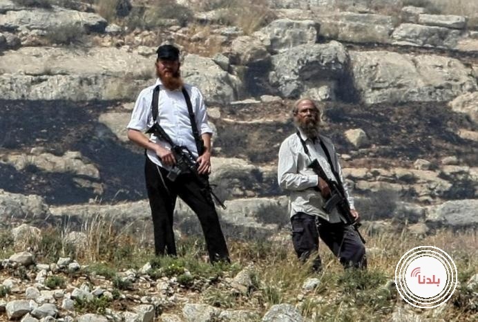 مستوطنون يقتلعون أشتال زيتون ويهاجمون منازل في بيت ساحور شرق بيت لحم