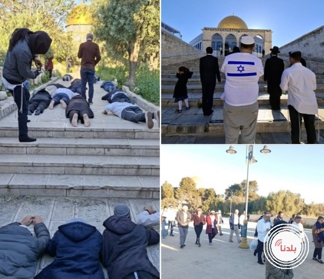 عشرات المستعمرين يقتحمون المسجد الأقصى ويؤدون طقوسا تلمودية