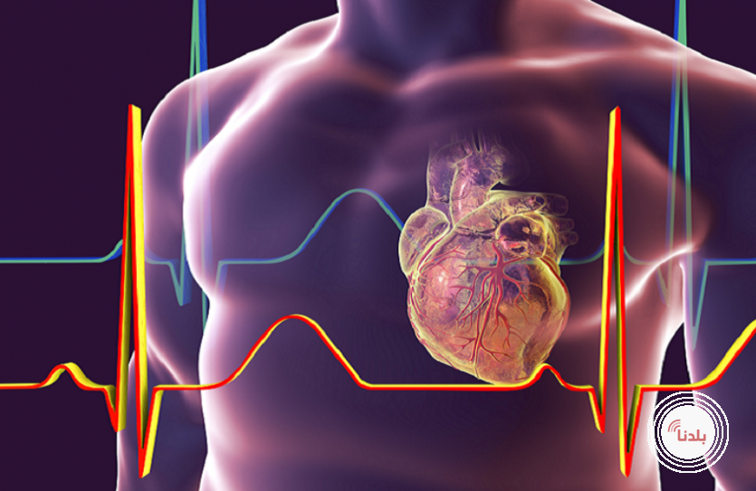 اكتشاف طريقة لإبطاء شيخوخة القلب