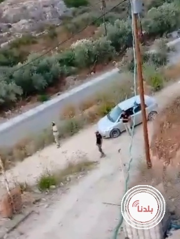 المستوطنون يقتحمون محيط منازل المواطنين في بروقين غرب سلفيت